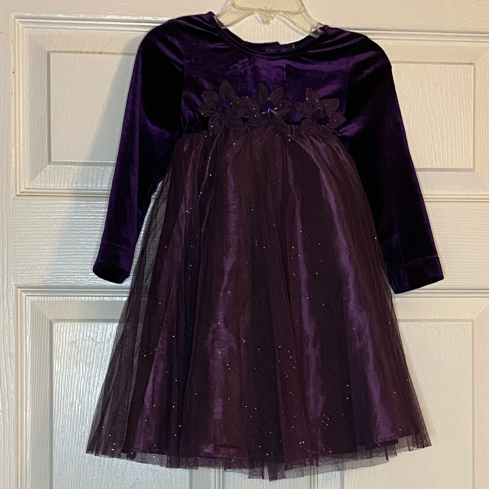 Rare Editions Girl’s Beautiful Purple Dress. Size 3T.